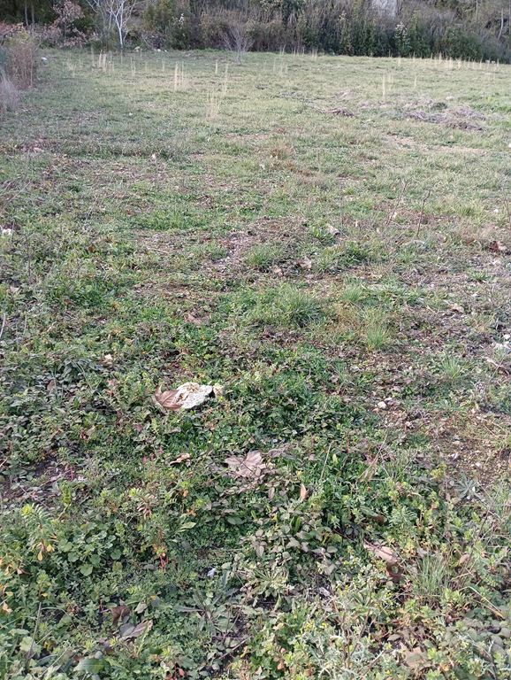 Terrain MURVIEL LES MONTPELLIER 270000€ METRODOM IMMOBILIER Terrain MURVIEL LES MONTPELLIER 270000€ METRODOM IMMOBILIER