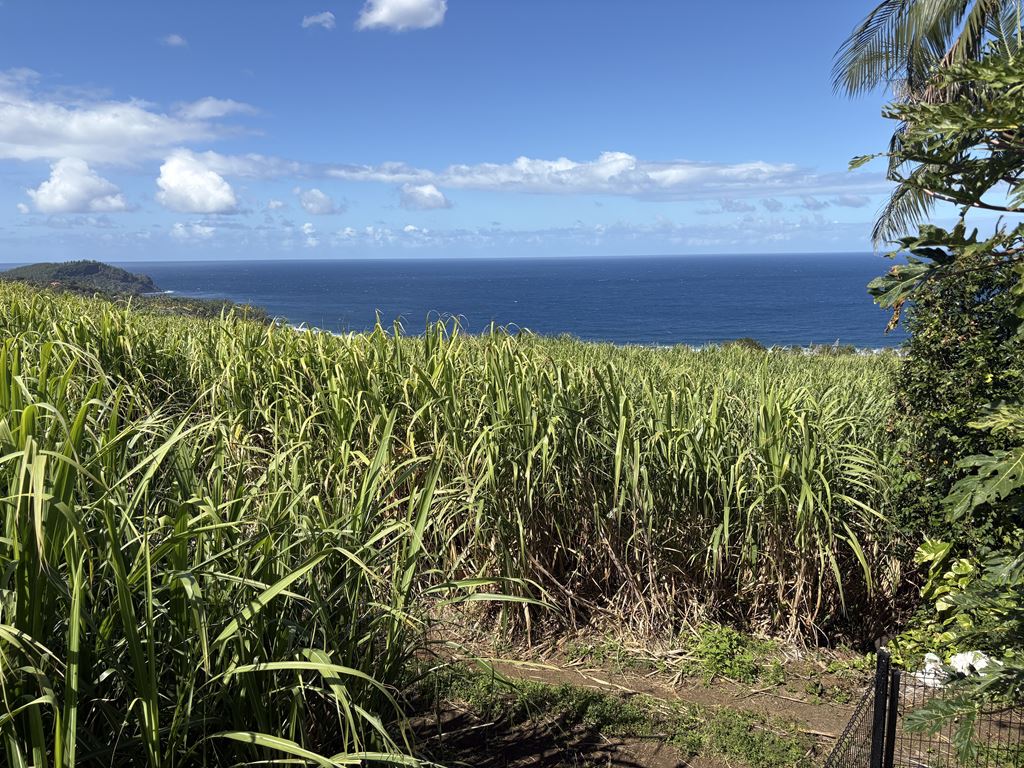 Maison SAINT PIERRE 525000€ METRODOM IMMOBILIER