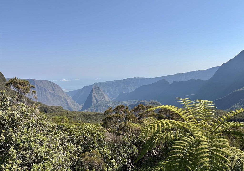 Ile de la Réunion - Metrodom